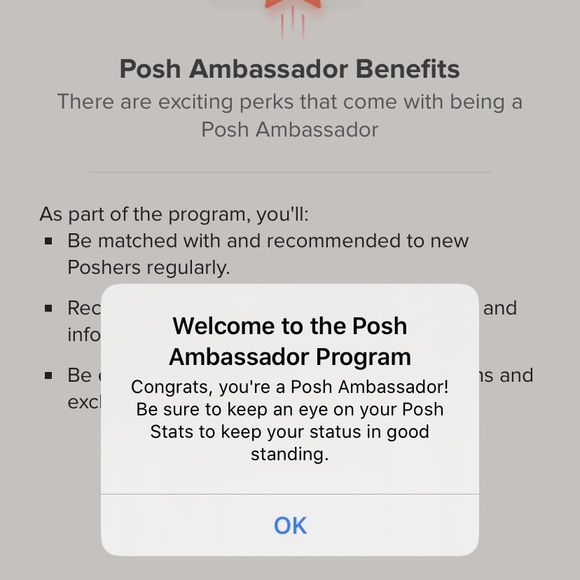 🌟Posh Ambassador🌟 - Picture 3 of 3